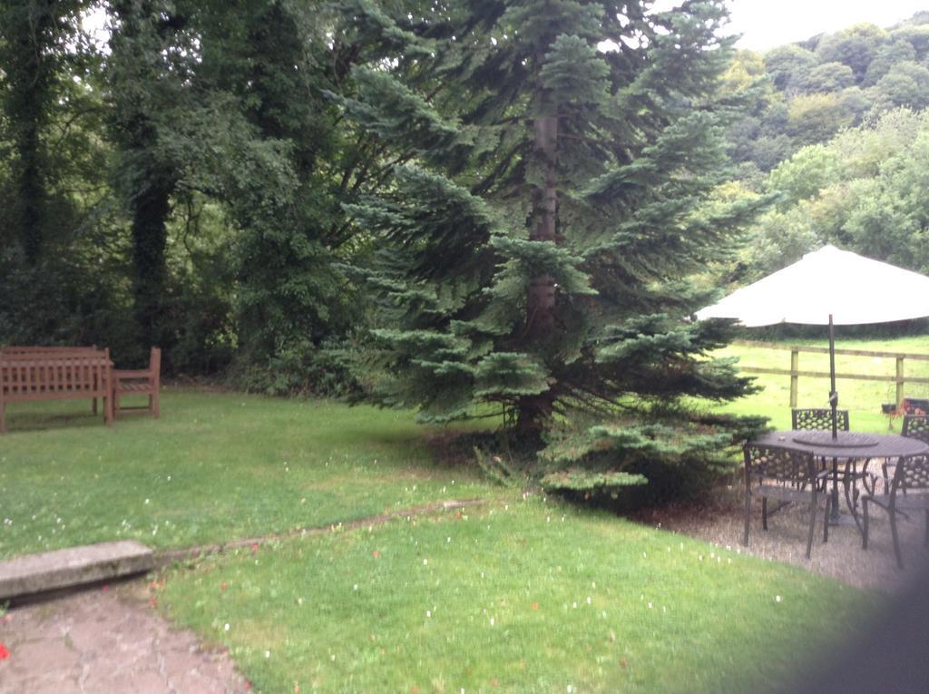 Ashton House Hotel Avoca Exterior foto