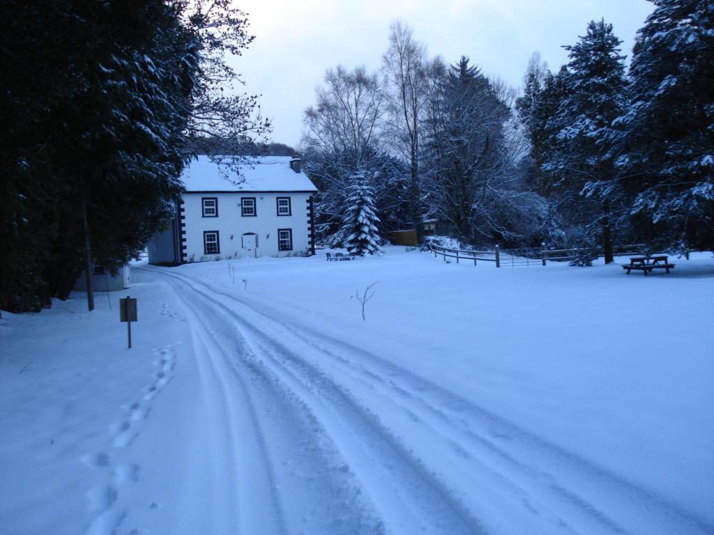 Ashton House Hotel Avoca Exterior foto