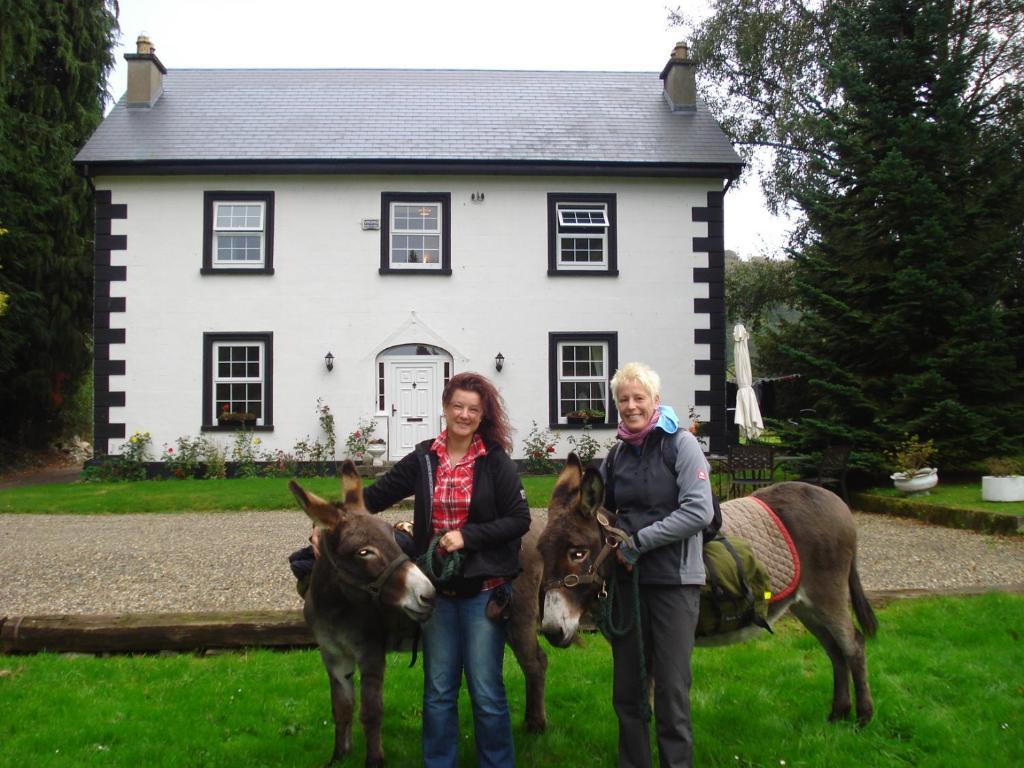 Ashton House Hotel Avoca Exterior foto