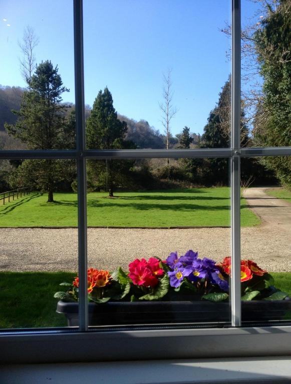 Ashton House Hotel Avoca Exterior foto